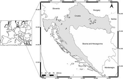 Loss of native brown trout diversity in streams of the continental Croatia